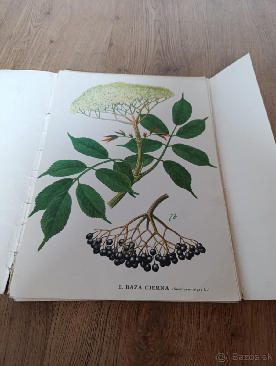 Staré školské pomôcky - 12