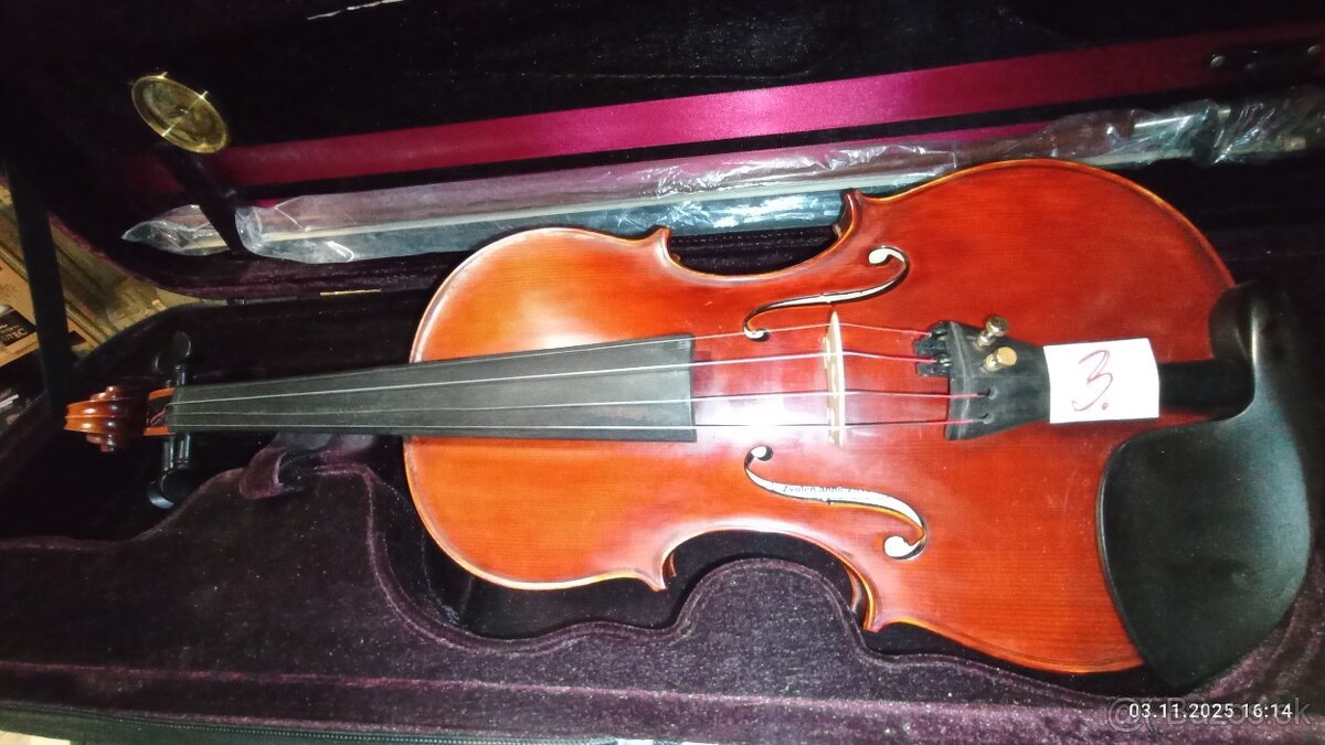 PROFESIONALNE HUSLE - 12