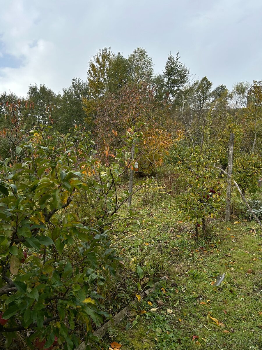 Záhrada vo Svätom Jure - 12