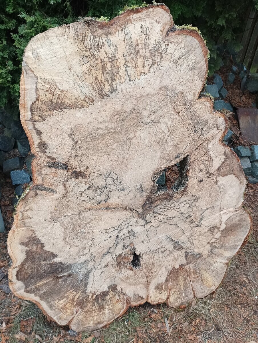 Suché koláče z Habra a Buka - 12