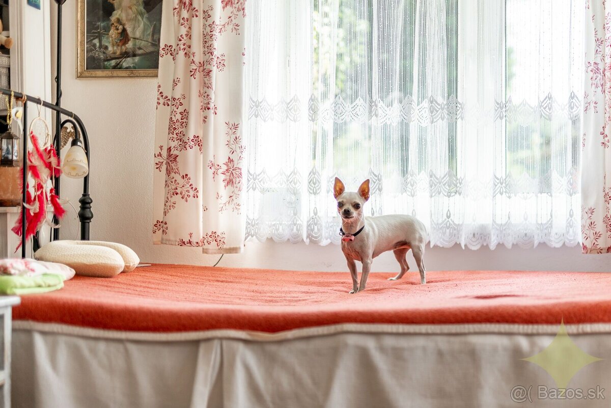 Pokoj vidieka, výhody mesta – Rodinný dom v Novej Bani na pr - 12