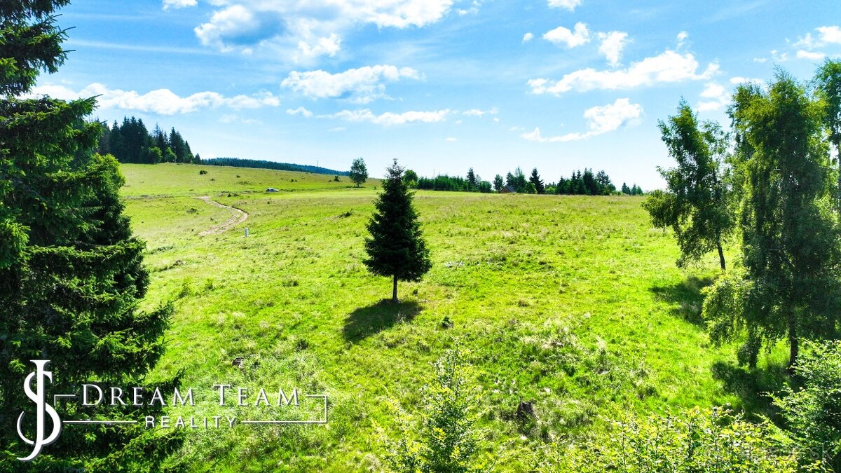 Stavebný pozemok 2.2ha v krásnom prostredí Látky okr. Detva - 12