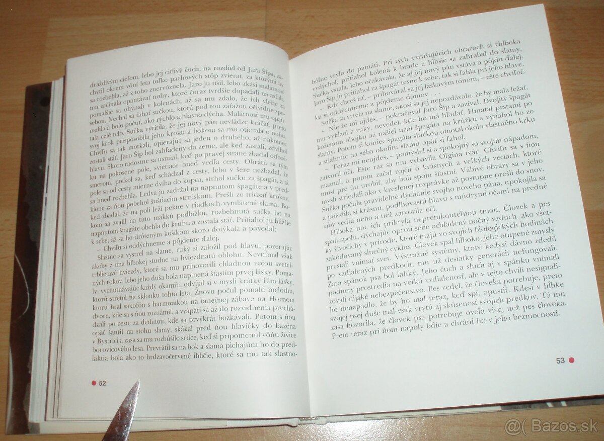 Poľovnícke tragédie - 12