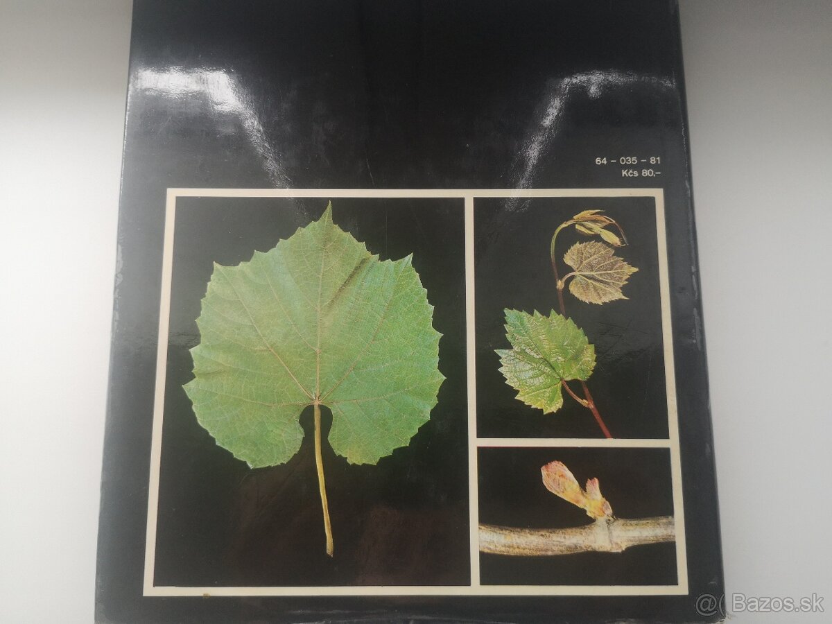 Vinárske knihy - 12