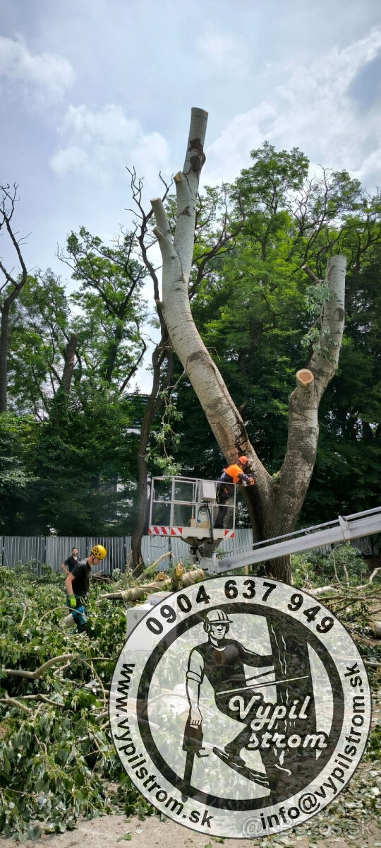 Pilenie a orezavanie stromov, kosenie a udrzba zahrad - 12