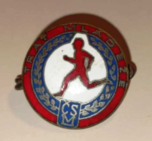 ČESKOSLOVENSKÉ ODZNAKY - 12