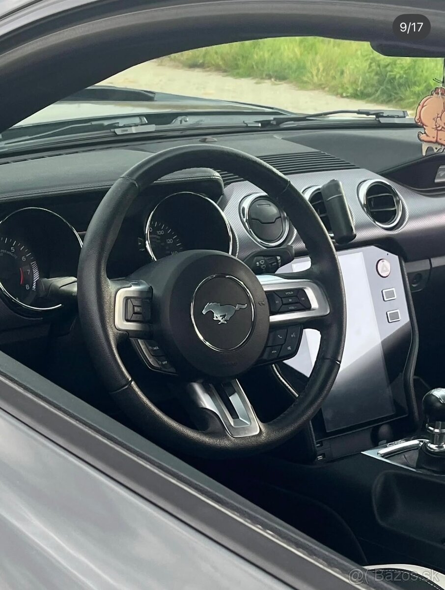 Ford Mustang 5.0 - 12