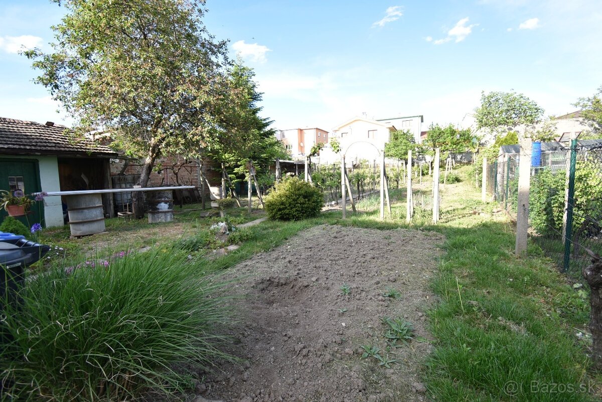 Fotografia 12