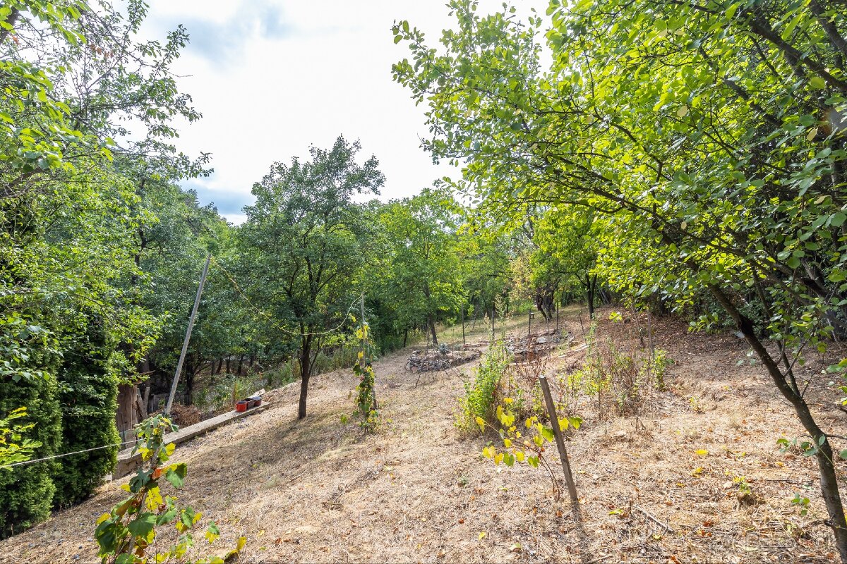 Na predaj útulný domček v obci Pányok - 12