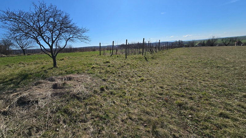 Domček v Žemberovciach spolu s pozemkom o výmere 3778 m2 - 12