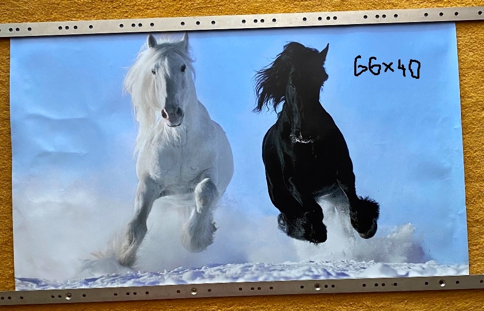 NHL kartičky, tapety koňov,... - 12