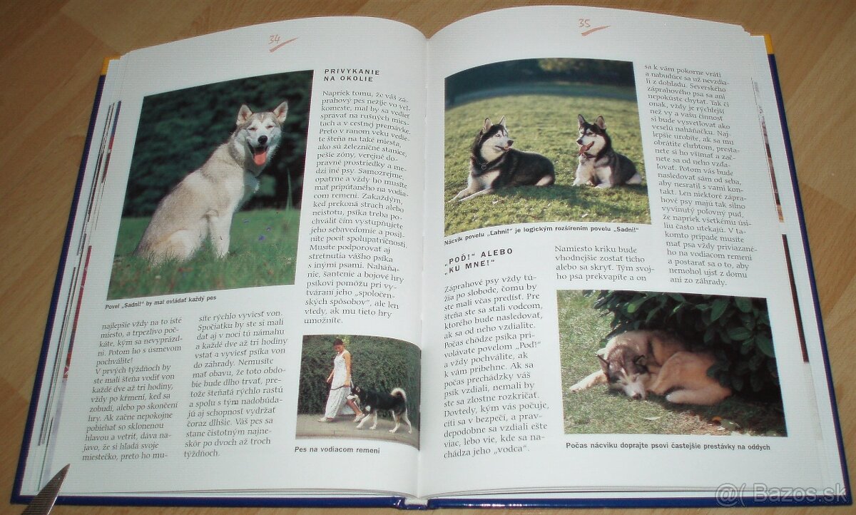 Záprahové psy - 12