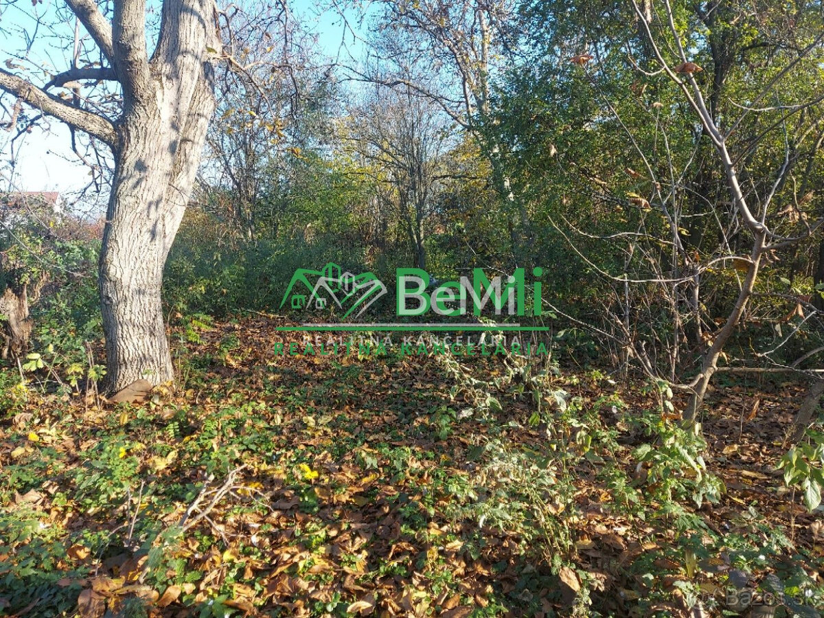 Predaj starší rodinný dom Vráble, NR (107-12-ERF) - 12