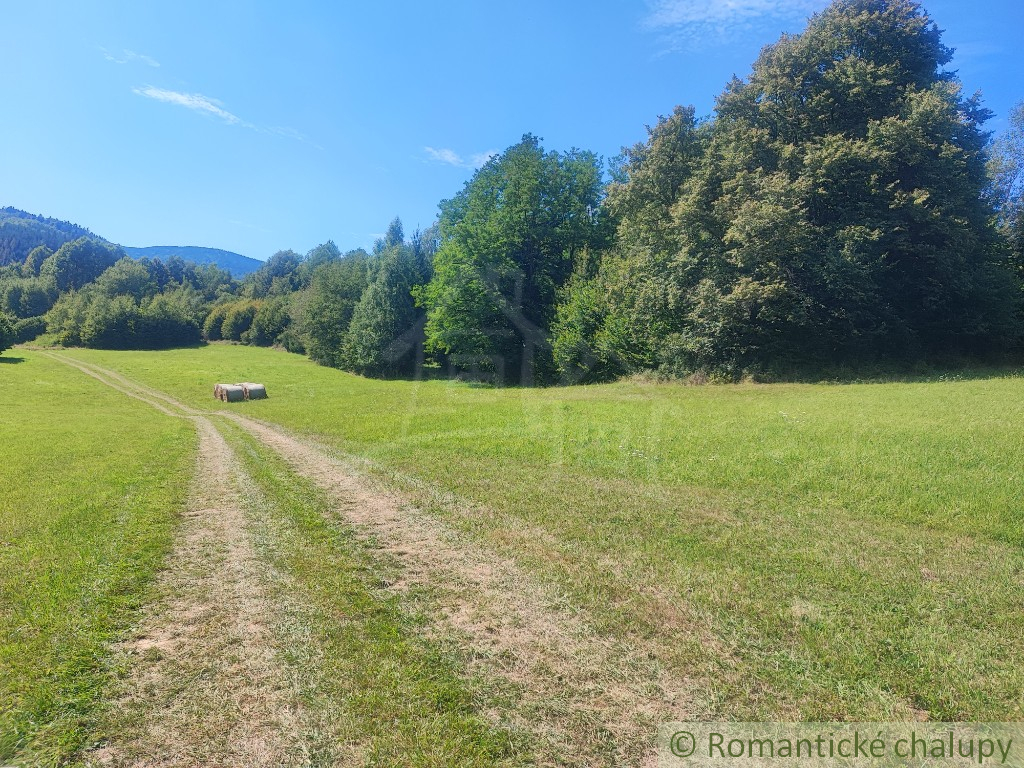 Chata uprostred lesa neďaleko viacerých lyžiarskych stredí - 12