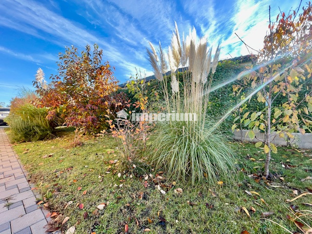 Na predaj 4 izb. bungalov v Kvetoslavove na 6,2 árovom pozem - 12