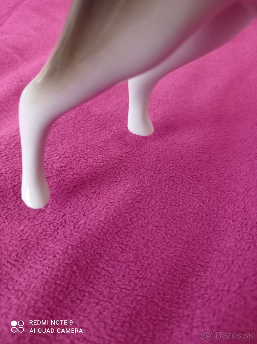 Staré sošky Baletka Pes - 12