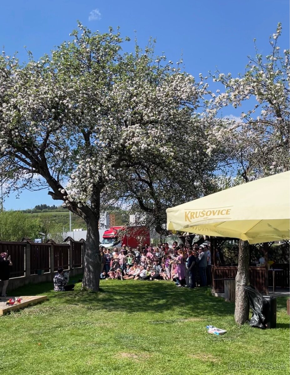 Prenájom priestoru - 12