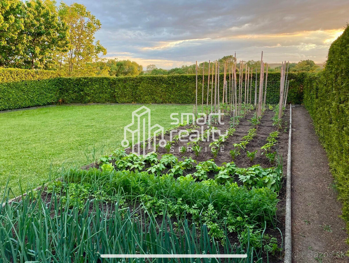 Na predaj 6i rodinný dom, Tornaľa - 12