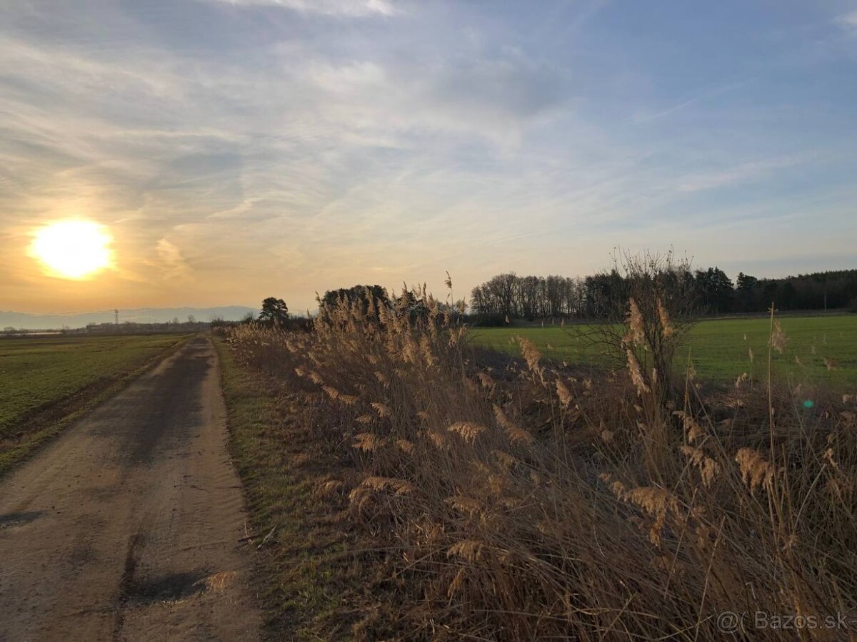 Veľký Pozemok 45 172 m² pri Malých Levároch - 12