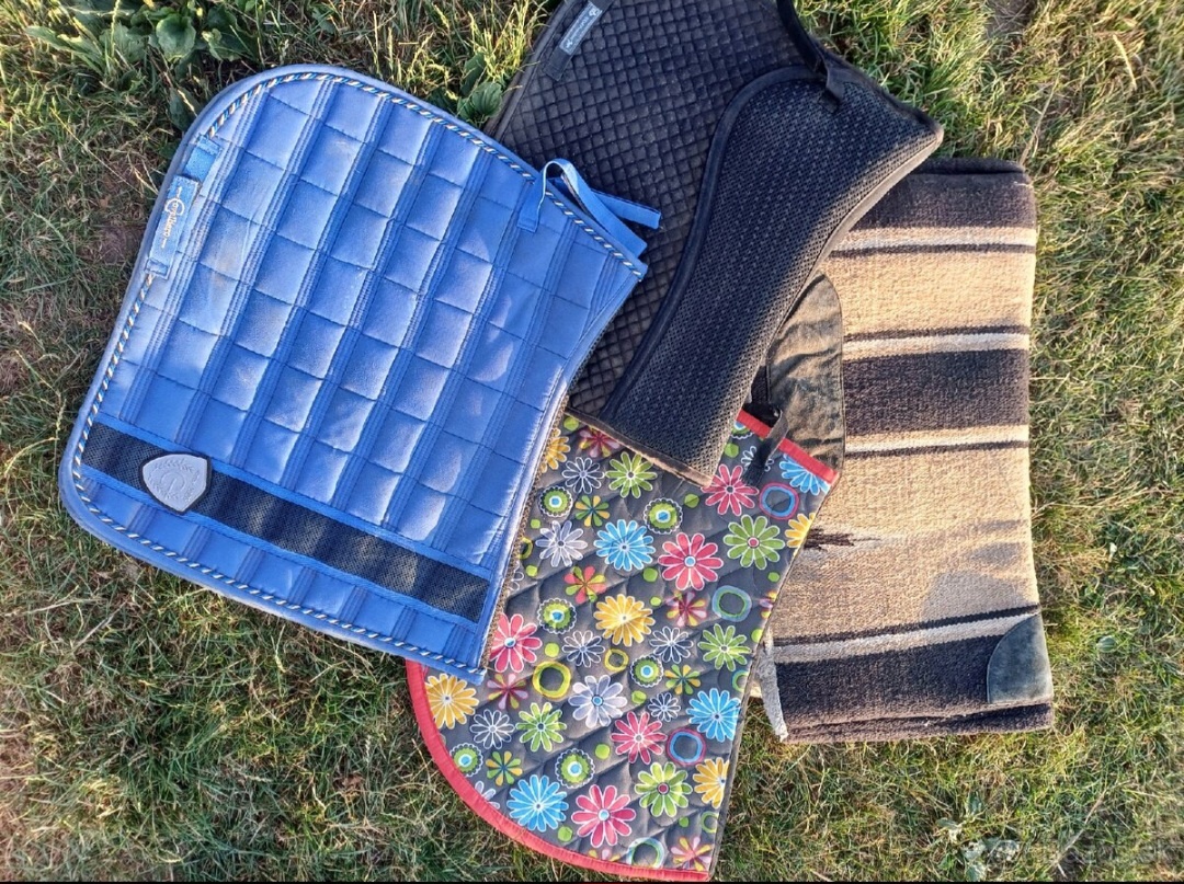 Kentaur, Equiline, F.R.A... - 12