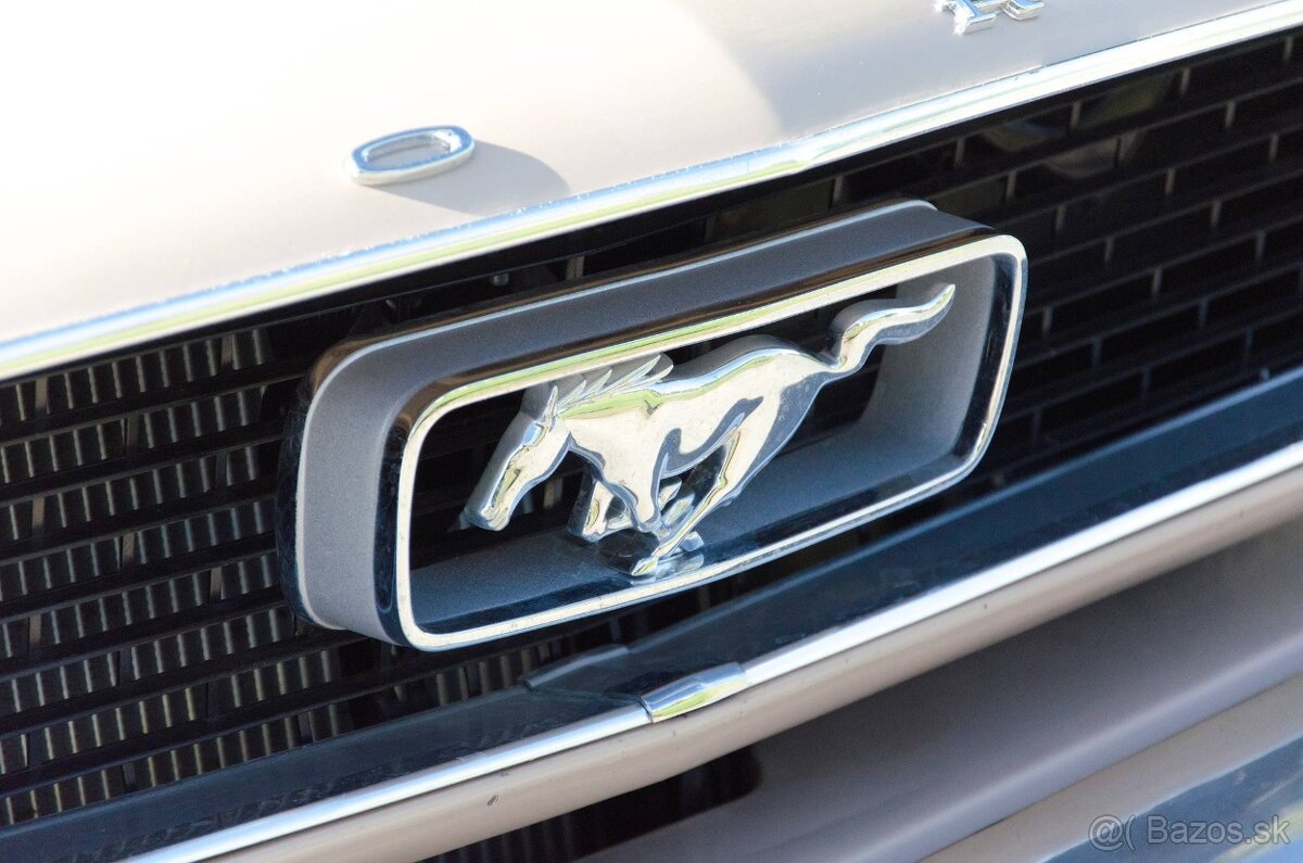 Ford Mustang 1966 - 12