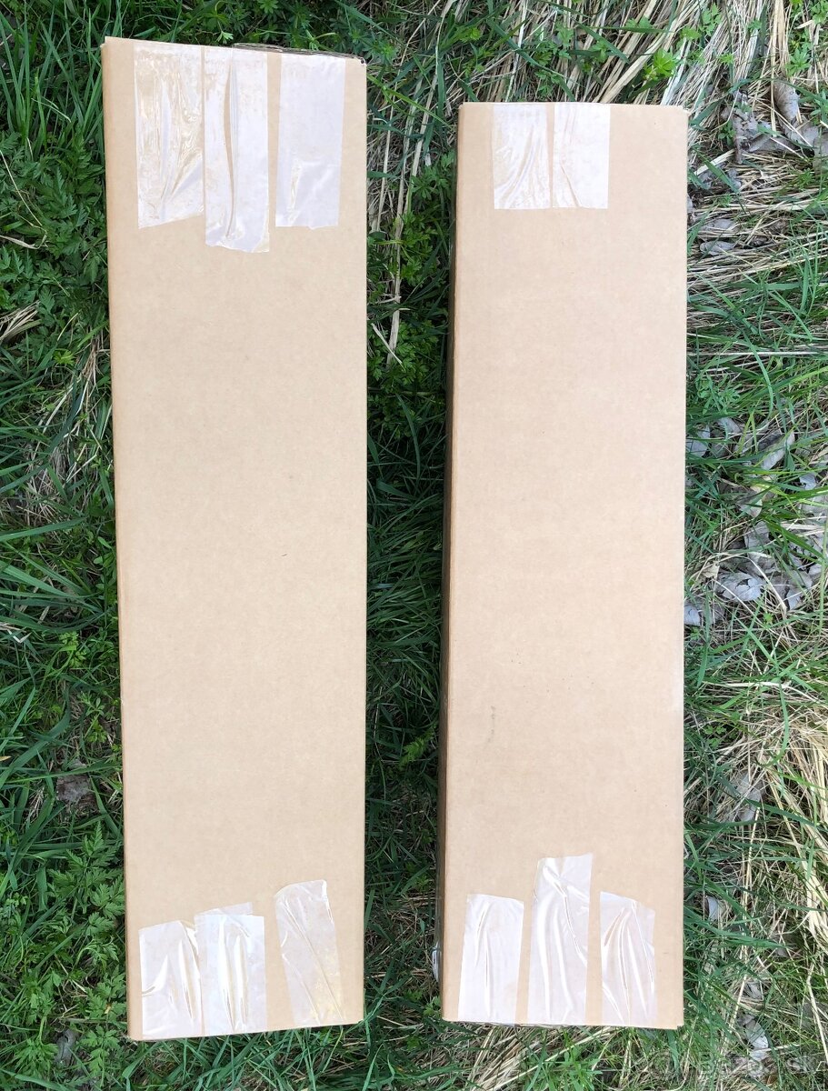 Sibírsky Céder / Pinus Sibirica sadenice - 12