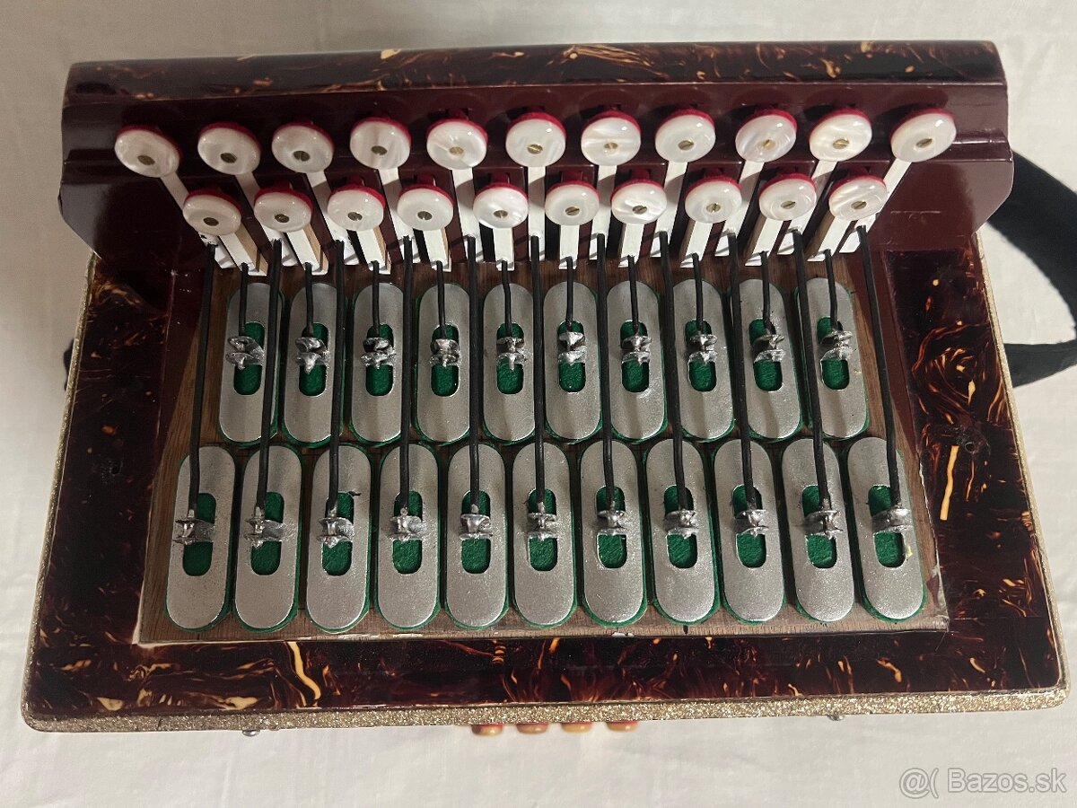 HELIGONKA KEBRDLE - 12