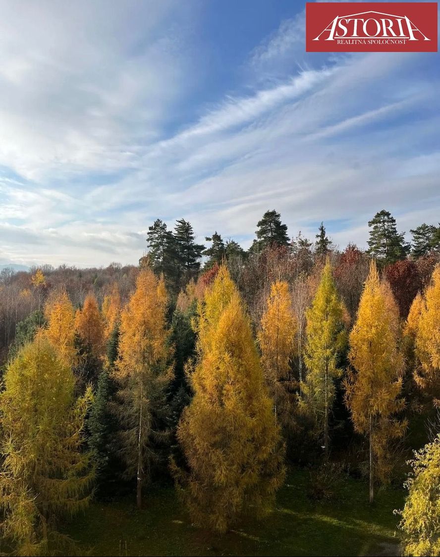 PRENÁJOM 2 izbový byt Žilina Rosinská cesta - 12
