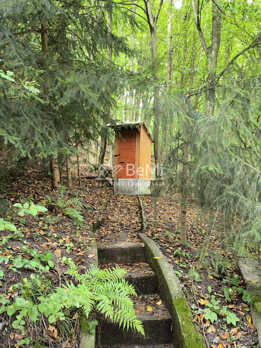 Rekreačná chata s veľkým pozemkom v lese - 12