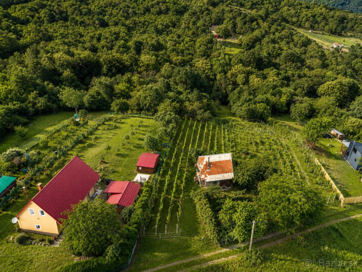 NA PREDAJ VINICA S VINIČNOU CHATKOU - 12
