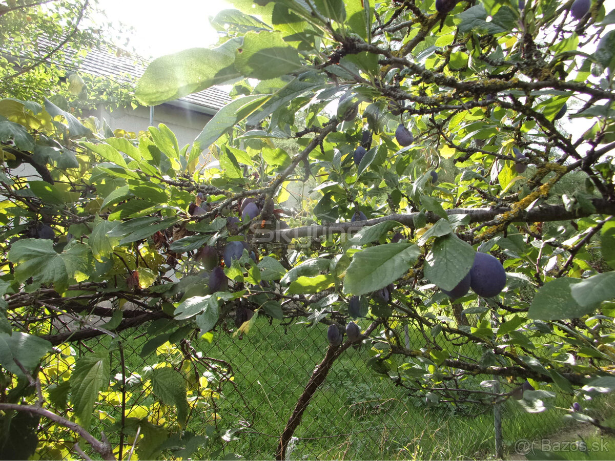 Exkluzívny predaj - vidiecky dom 90 m2, pozemok 4269 m2, Ded - 12