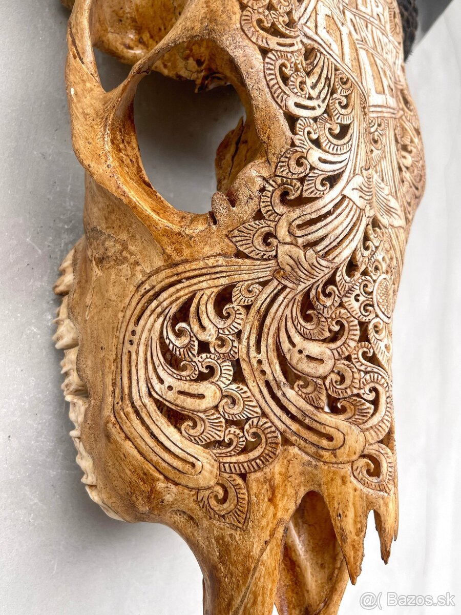 Ručne vyrezávaná lebka býka Harley Davidson, 54cm - 12