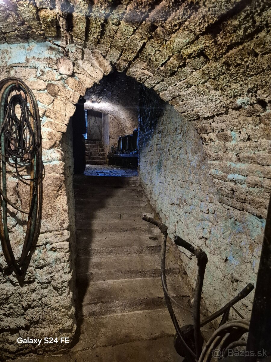 Pivničná chata v známej vinohradníckej oblasti - 12