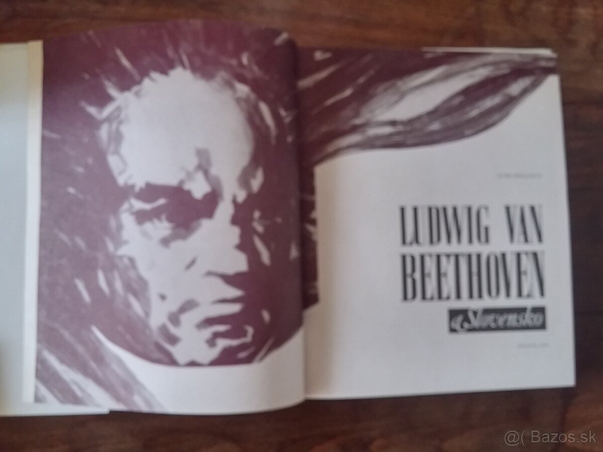 Beletrizovaný životopis - 12