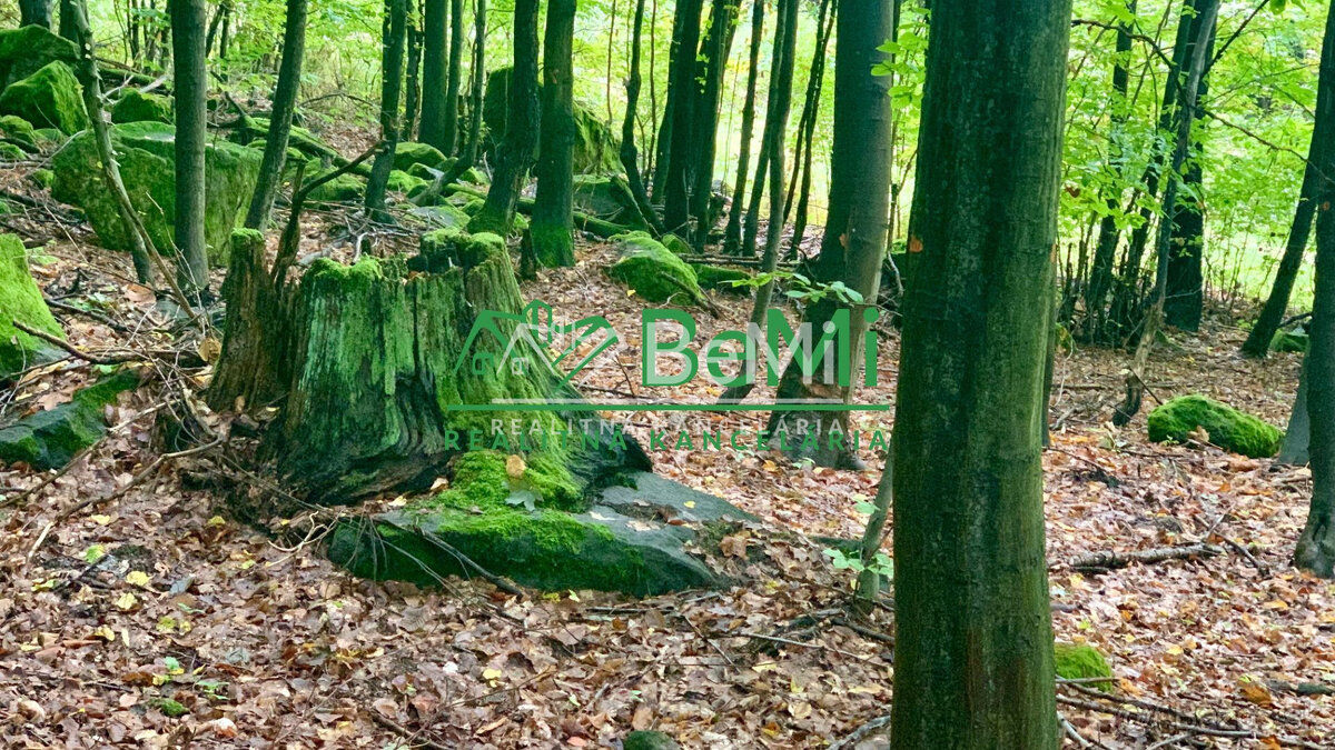 Slnečné pozemky 11434 m2, Michalková - 12