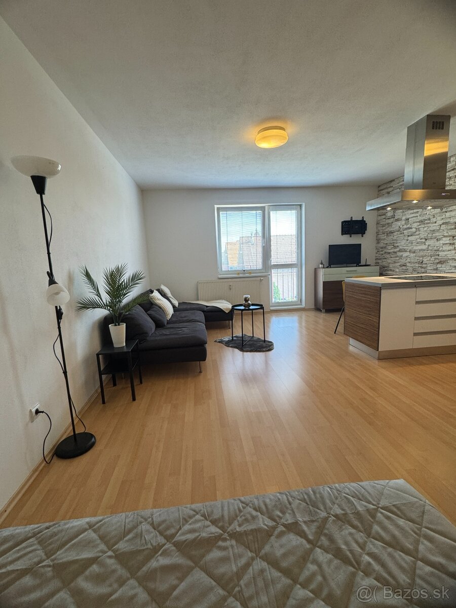 Priestranný 1-izbový byt s balónom a parkovacím státim - 12