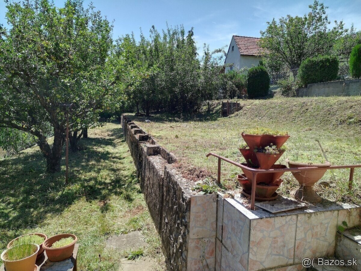 Záhradka s chatou Darmovise - 12