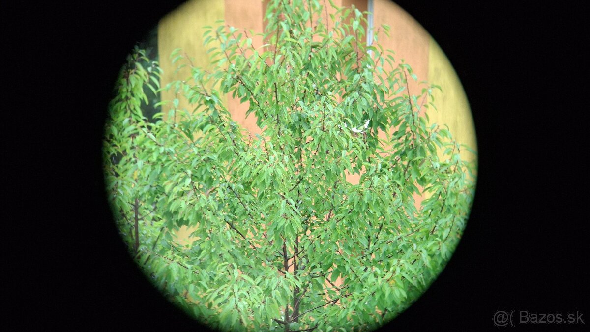 Ďalekohľad BOC 7X50 - 12