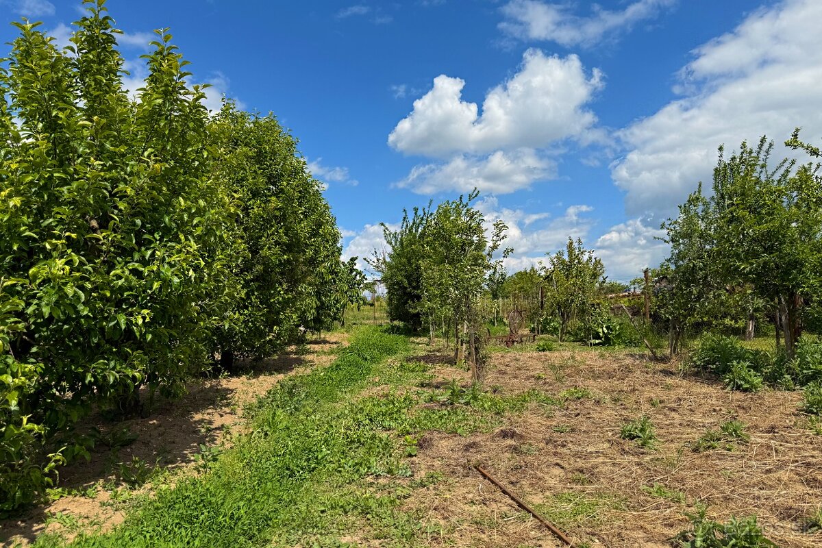 Dom za 163 000 e s obrovským pozemkom 2 400 m2 v Štefanovej - 12