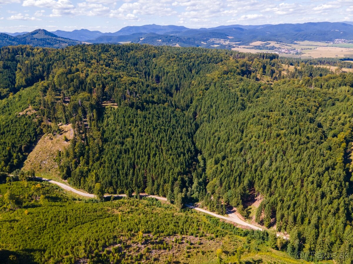 HOSPODÁRSKY LES V OBCI BUDIŠ V OKRESE TURČIANSKE TEPLICE - 12