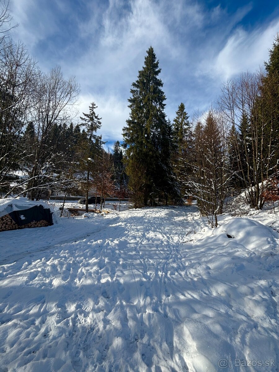 Chata Vychylovka - 12