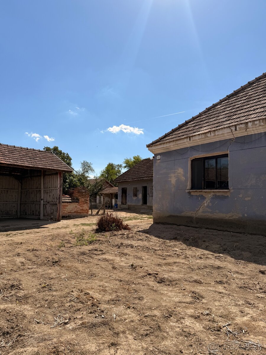 Martovce Pozemok / dom 🏘️ - 12
