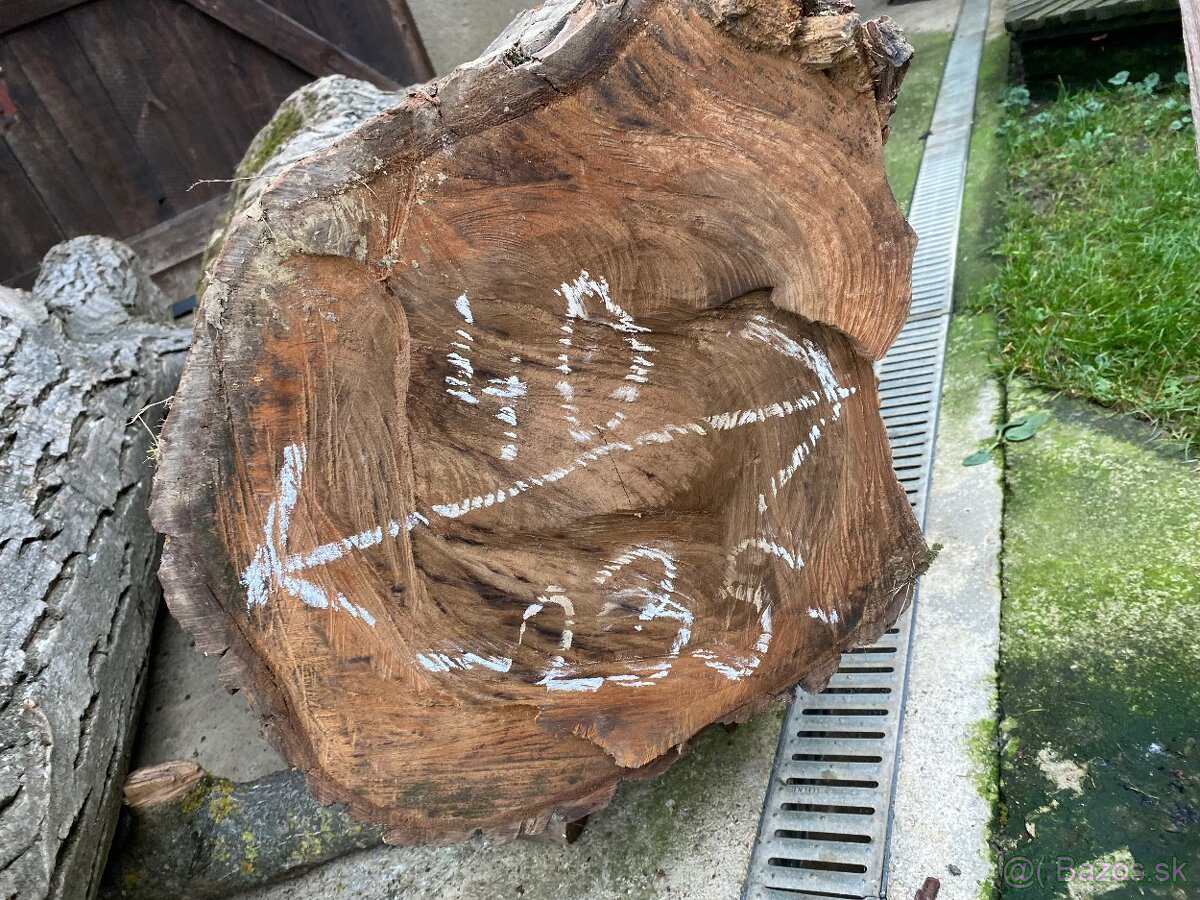 Orechové kmene, guľatina - 12