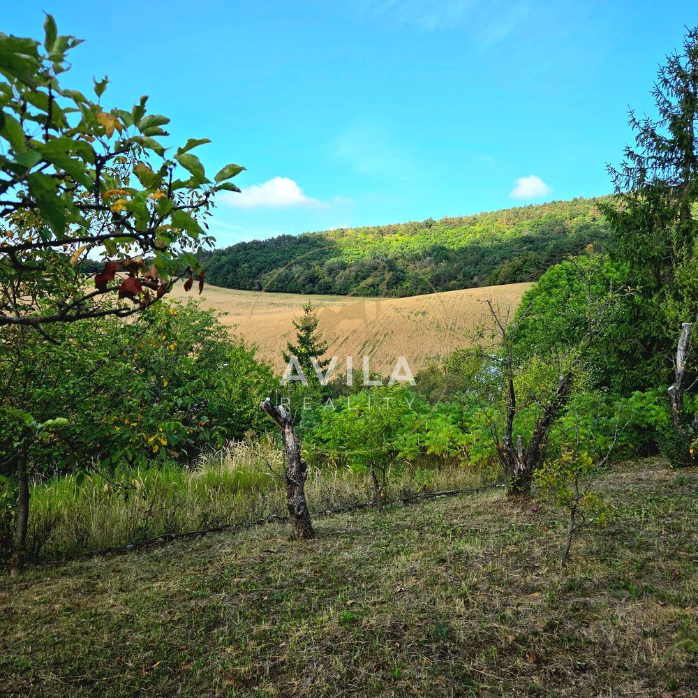 416 m² zelene a pokoja – na predaj záhrada s chatkou v Čacht - 12