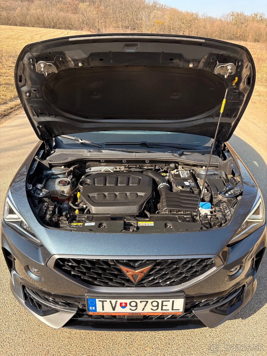 CUPRA FORMENTOR 2.0 TSI 310K 4DRIVE DSG VELOZ - 12