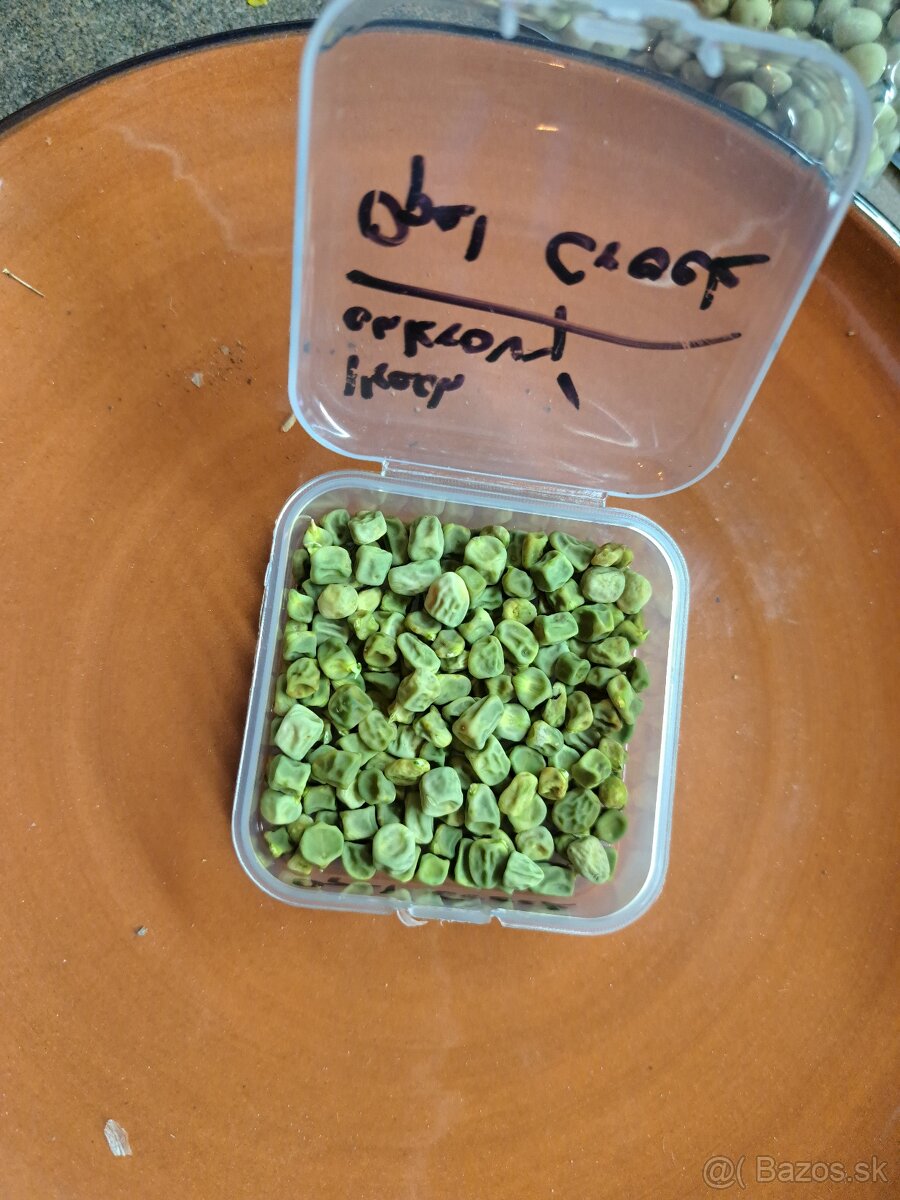 Semená zeleniny a ovocia - 12