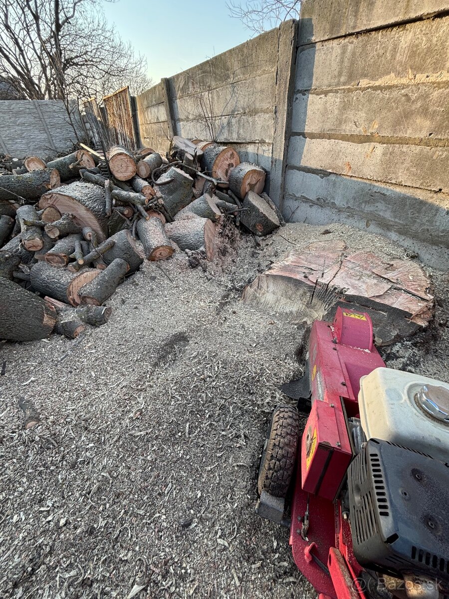 Kosenie/Strihanie/Údržba zelene/Pílenie /Drvenie - 12