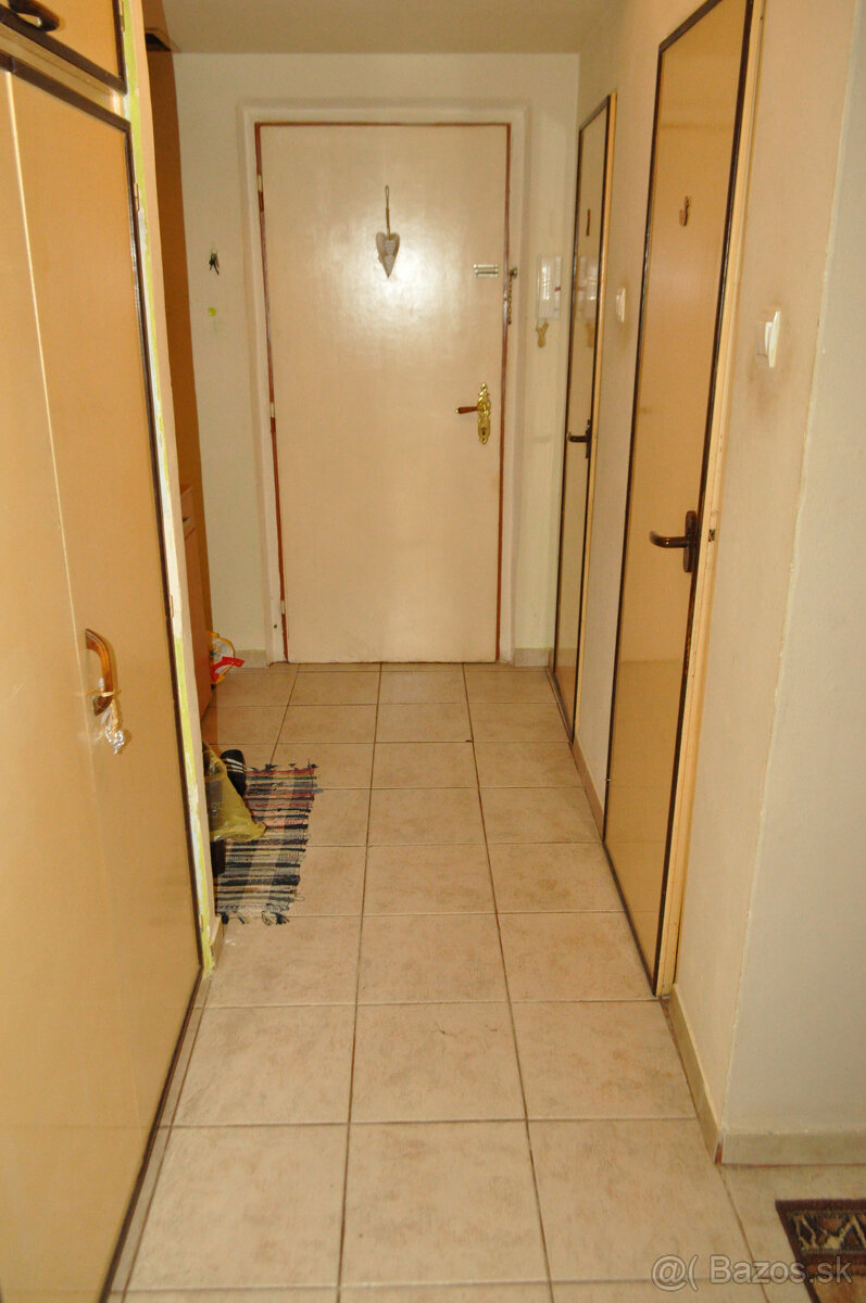 Byt 1+1 sídl. Tarča, Sp. Nová Ves - 12