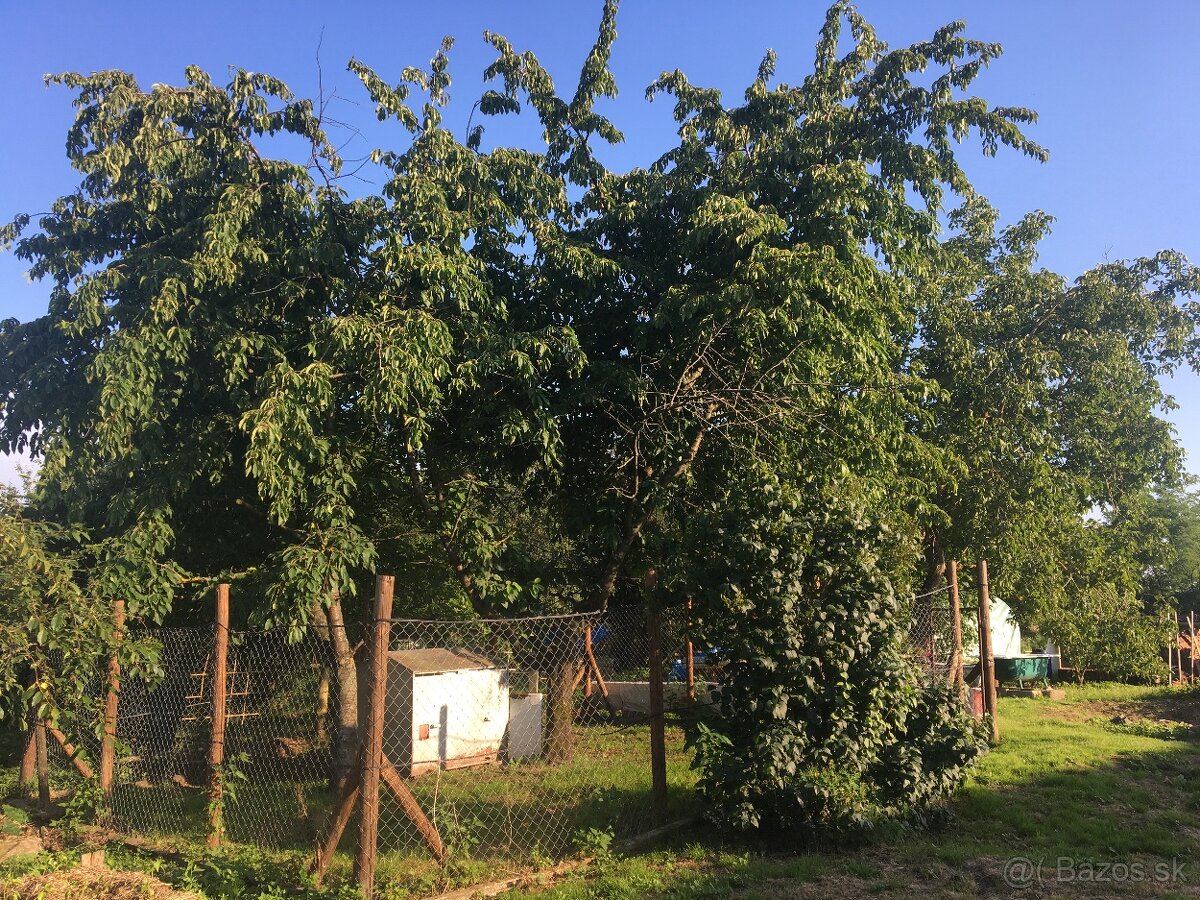 Predám rodinny dom na samote Rad (Rázcestie) - 12