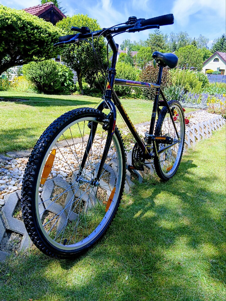 Author Horský bicykel - 12